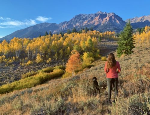 FALL in Love with WRV’s Secret Season