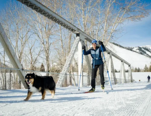 Hop on the Wood River Trail Challenge!