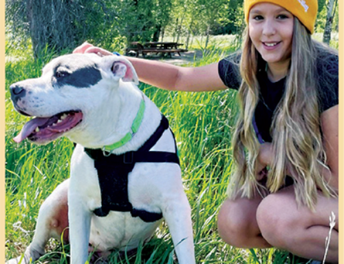 We LOVE our pets around here.
